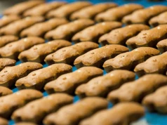 Biedronka wycofuje popularne herbatniki