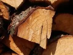To drewno dobrze sprawdza się na wsi. W mieście może narobić problemów