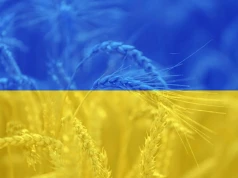 Kijów twierdzi, że skala ukraińskiego rolnictwa jest przeceniana w Unii Europejskiej