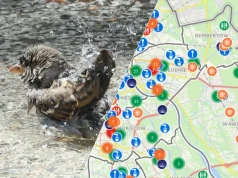 Rekordowe upały w Warszawie. Te miejsca chłodu zapraszają każdego