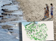 Z powodu sinic zamykają kąpieliska. Mapa GIS pokazuje aktualną sytuację nad wodą