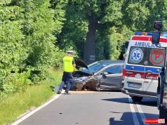 Wypadek na drodze wojewódzkiej. eCall wysłał zgłoszenie