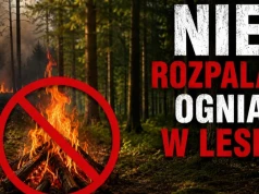 Zagrożenie pożarowe w lasach. Służby i urzędnicy apelują o rozsądek