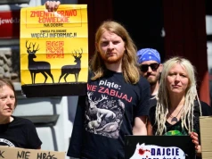 Protest przed UMŁ ws. odławiania dzików. Aktywiści chcą dialogu z miastem