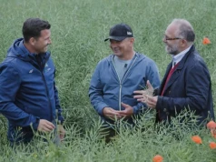 Rolnik zmienił technologię uprawy. „To naprawdę działa”. Plony sięgnęły nawet 12 t/ha