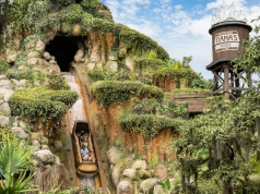 Szokujące nagranie pokazuje 13-letniego chłopca spadającego z wodospadu podczas atrakcji Disneyland
