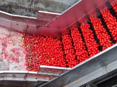 Kampol-Fruit na sprzedaż za 55 mln zł. Syndyk szuka kupca dla zakładu w Rykach