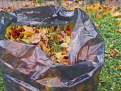 Wożą trawę do PSZOK, choć płacą za odbiór odpadów. System jest niewydolny