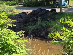Brzegi rzeki Kozi Bród zostaną posprzątane. Wody Polskie uspokajają