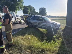 Zderzeie pięciu pojazdów w Płosodrzy