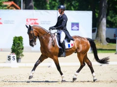 Francuzi na prowadzeniu w Pucharze Narodów LOTTO Strzegom Horse Trials. Sukces Pawła Warszawskiego w Strzegomiu