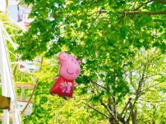 Kontrowersja wokół "Świnki Peppy". Chodzi o głosy dzieci