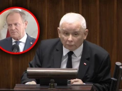 Powiało grozą! PiS ma plan, OTO co zrobi po dojściu do władzy. „Brutalne rozliczenia”