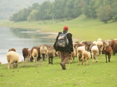 Kawa za 5 zł, wino za 10. Europejski kraj wciąż czeka na odkrycie. Lot trwa 2 godziny