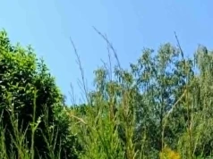 Ogród, miejsce nad wodą, działka rekreacyjna? A jak Mysłowiczanie spędzają upalny czerwcowy weekend?