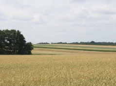 Dwie działki z KOWR na przetarg a 15 chętnych rolników. Razem do wzięcia ponad 300 ha