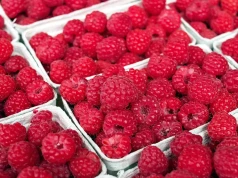 Polska jest malinową potęgą Europy. Mimo to import malin stale rośnie
