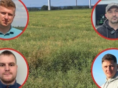 3 tony będą sukcesem. Rolnicy oceniają stan rzepaków przed żniwami
