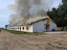 W Kobysewie płonie kurnik. Strażacy walczą z ogniem