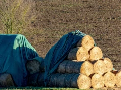 Nawet 90°C w środku beli. Tak zaczyna się pożar stogu.