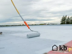 Pomalowali dach specjalną farbą. Temperatura domu w trakcie upałów spadła o kilka stopni