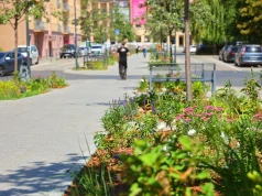 Łódź. Miasto przypomina o zielonych zakątkach w centrum (zdjęcia)