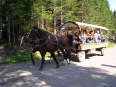 Konie nad Morskie Oko nie kursują. Upał zatrzymał wozy