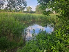 Fontanna, wybieg dla psów, nowe place zabaw i odnowione stawy. Tak może zmienić się Park Miejski w Aleksandrowie Kujawskim