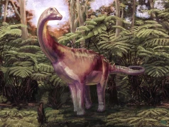 Pierwsza kość dinozaura z Antarktydy była przez 40 lat błędnie opisana