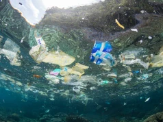 Mniej wyrzucanych nakrętek to mniej plastiku w morzu. Badanie w Szwecji pokazuje rezultaty