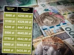 Takie są emerytury w lipcu 2026 - tabela netto. Oto kwoty, jakie trafiają na konta