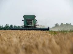 Pierwsze kombajny wyjechały w pola. Rolnicy sprawdzają ceny jęczmienia 2026