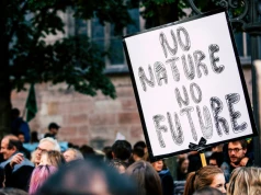 Trzeba chronić Polaków przed zmianą klimatu. Naukowcy apelują do polityków