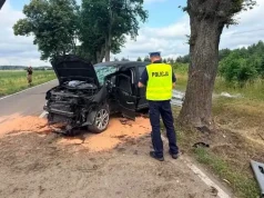 Wypadek na DW 542. Samochód osobowy uderzył w drzewo
