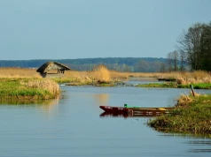 "Polska Amazonka". Fascynująca dolina Narwi