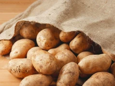 Chipsy sprzed wieków? Inkaski sposób na walkę z głodem przetrwał 500 lat