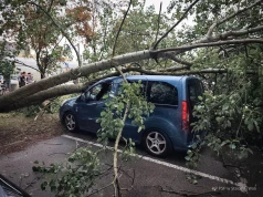 Niszczycielskie burze nad Podkarpaciem. Wiatr zrywa dachy, łamie drzewa