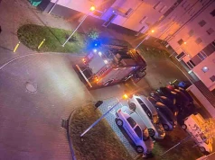 Zielona Góra. Atak psów na klatce schodowej, pogryzionych chłopak trafił do szpitala