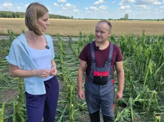 Grad wielkości kurzego jaja zmiótł prawie 200 ha w jednej wsi