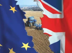 Brexit nadal utrudnia eksport żywności. Nadchodzą zmiany ważne dla polskich producentów