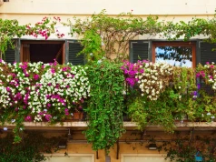Zwisające kwiaty na balkon. Oto 5 roślin, które tworzą najpiękniejsze kwitnące kaskady