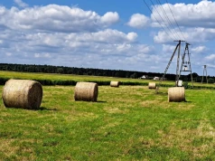 Za słupy na polu można dostać pieniądze. Izba daje gotowy wzór pisma