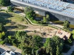 Oko w oko z olbrzymami. ZOO Wrocław zapowiada nową Żyrafiarnię!