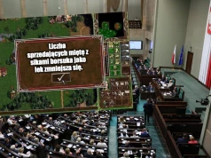 "Lex szarlatan" przegłosowane, Rzecznik Praw Pacjenta będzie mógł ostrzegać przed szurami