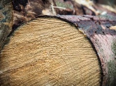 Polska branża meblarska w potrzasku. Długi rosną, a drewno staje się punktem zapalnym