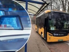 Wsiadła do autobusu z chihuahua. Skończyła w izbie zatrzymań