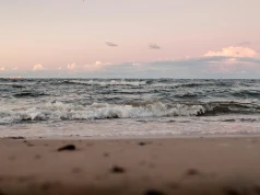 Najlepszy sposób na upały? Te plaże w Niemczech przyciągają tłumy