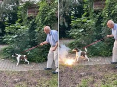 Korwin-Mikke znów szokuje. Rzucił psu petardę