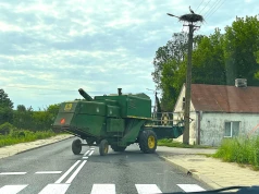 Żniwa kontra przepisy. Dlaczego rolnicy wciąż ryzykują przejazd z hederem?