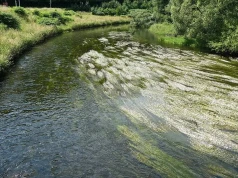 Katatrofa ekologiczna na rzece Bóbr. Wprowadzono zakaz korzystania z wody akwenu